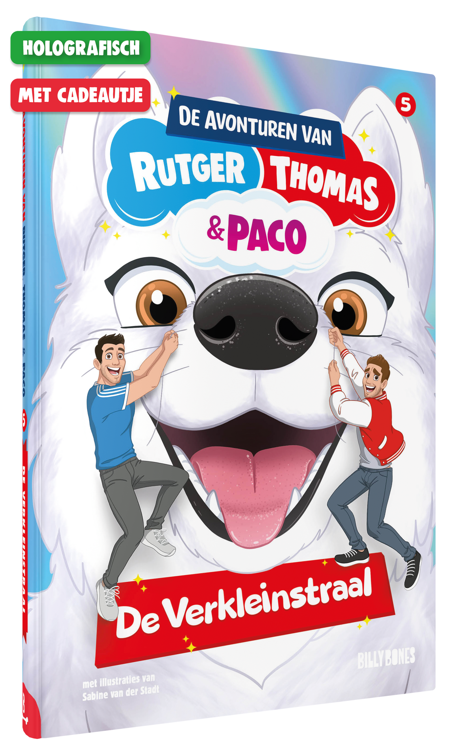 De Verkleinstraal