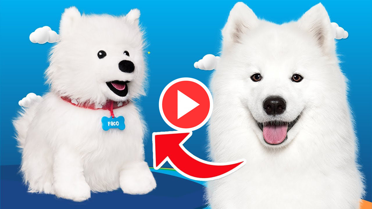 Video laden: 